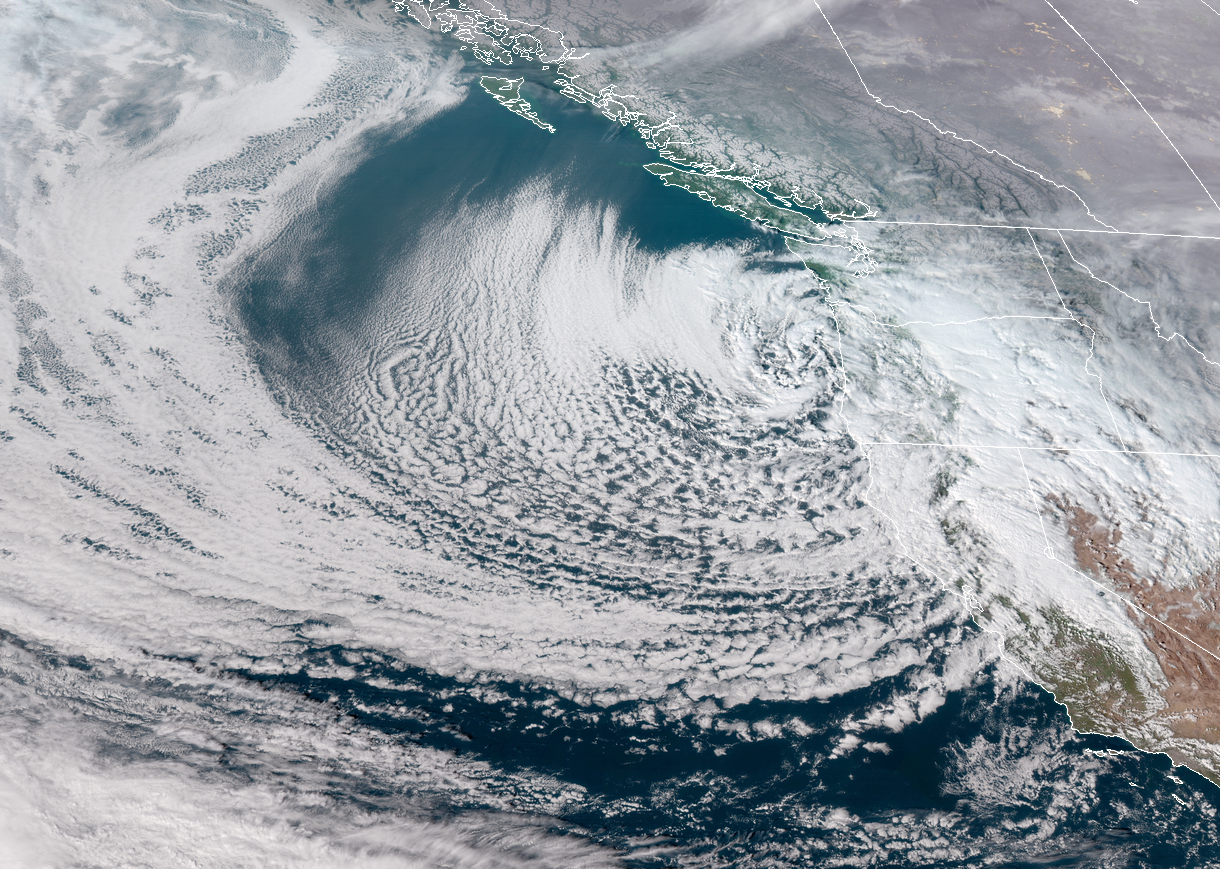 美国西雅图连遭冰风暴袭击,暴雪寒冷将破纪录