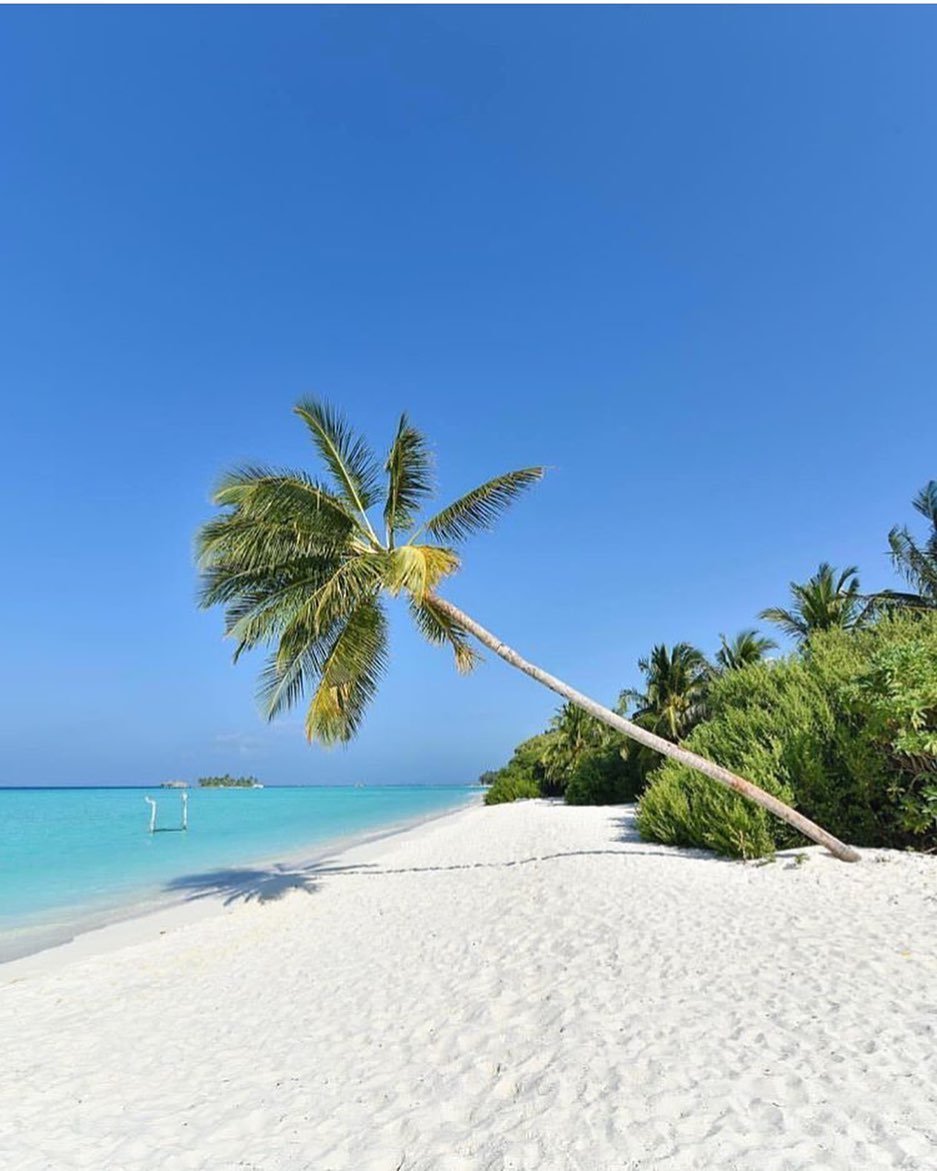 马尔代夫浅蓝色的海与白色沙滩的邂逅