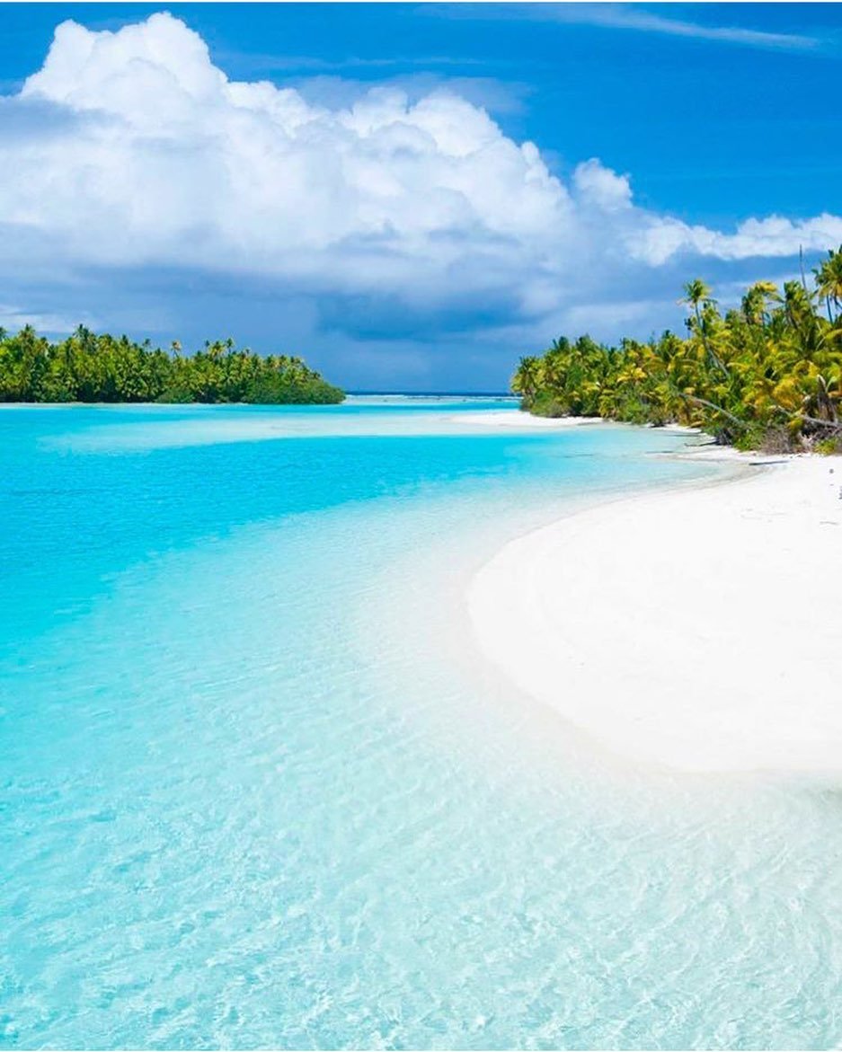 937_1171竖版 竖屏