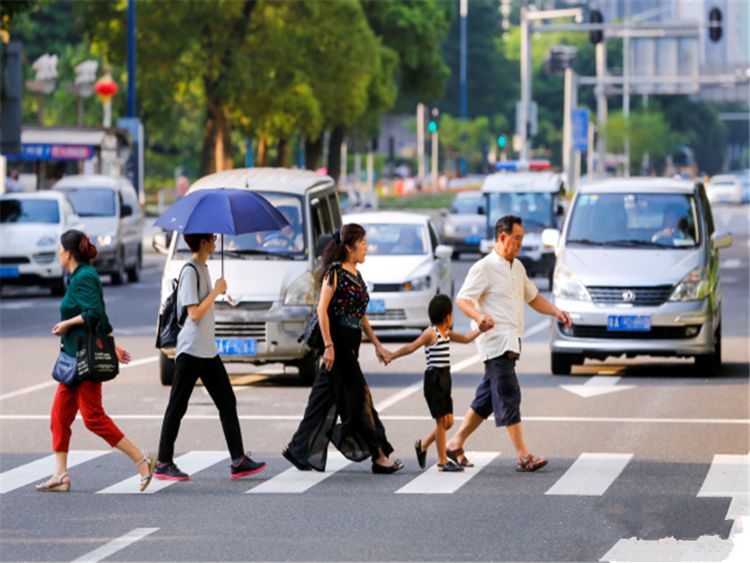 "礼让行人"应该取消?专家言论引共鸣,车主:说得好!