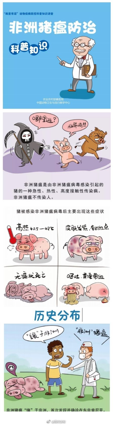 非洲猪瘟防治科普知识一起来了解下