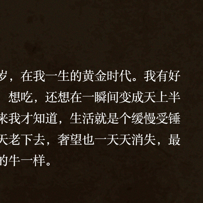 王小波时代三部曲首部黄金时代以其特有的诗意