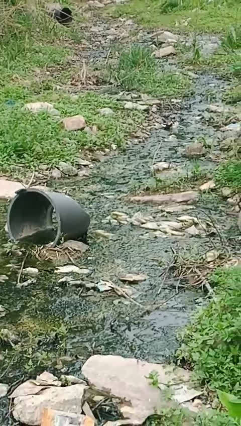 观点随大刘:是谁造成了将军墓前无人问,戏子家