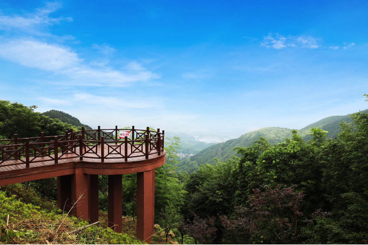 王位山森林古道修复提升项目完工|森林古道|黄湖|松杉_新浪新闻