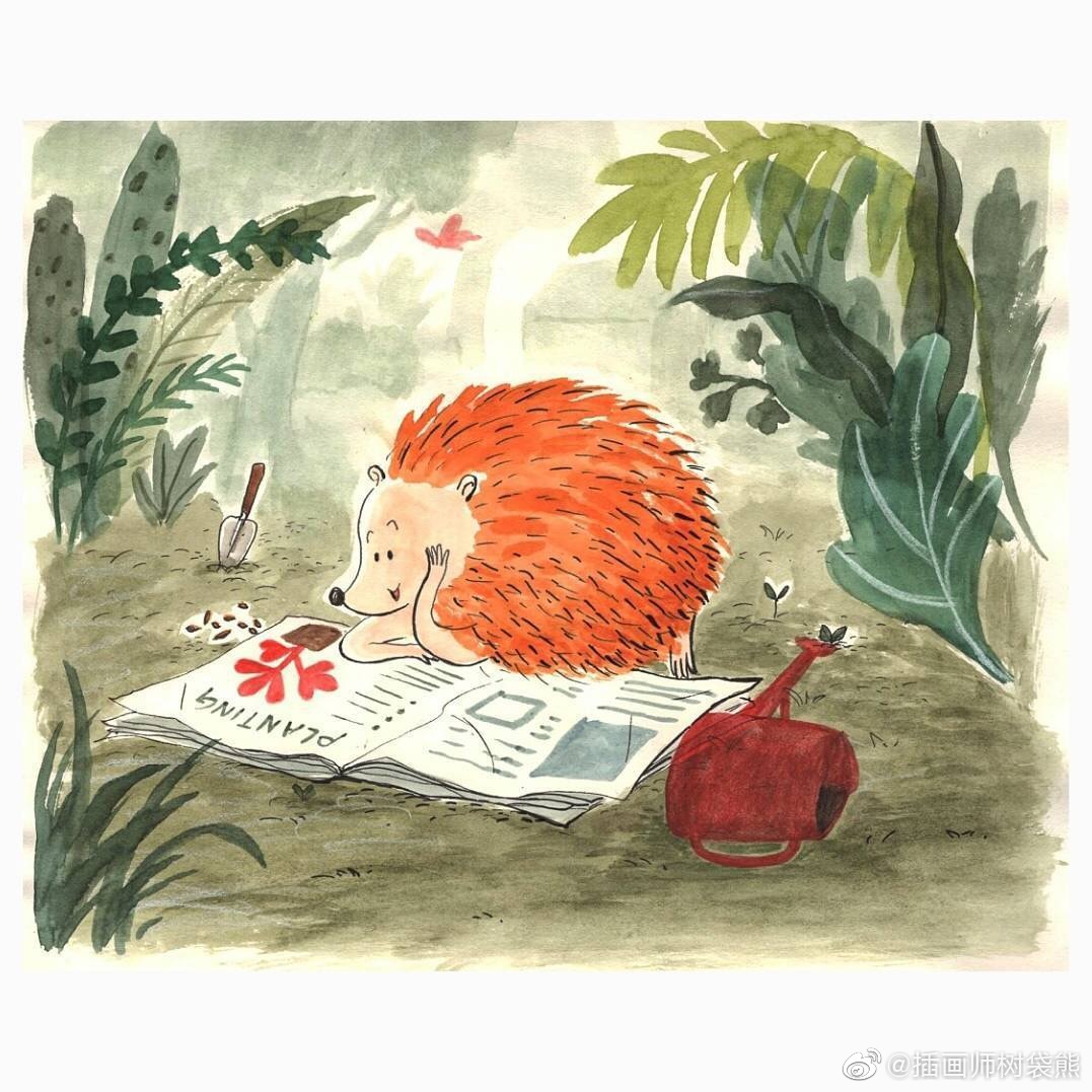 中国台湾插画师 ya-ling huang 小刺猬的故事童书绘本插画设计作品