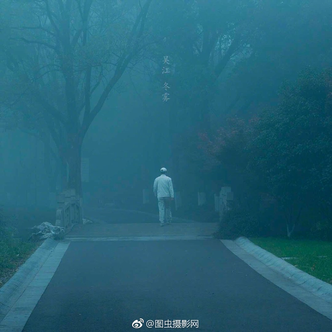 仿佛雾里的挥手别离 @子-夜鸟