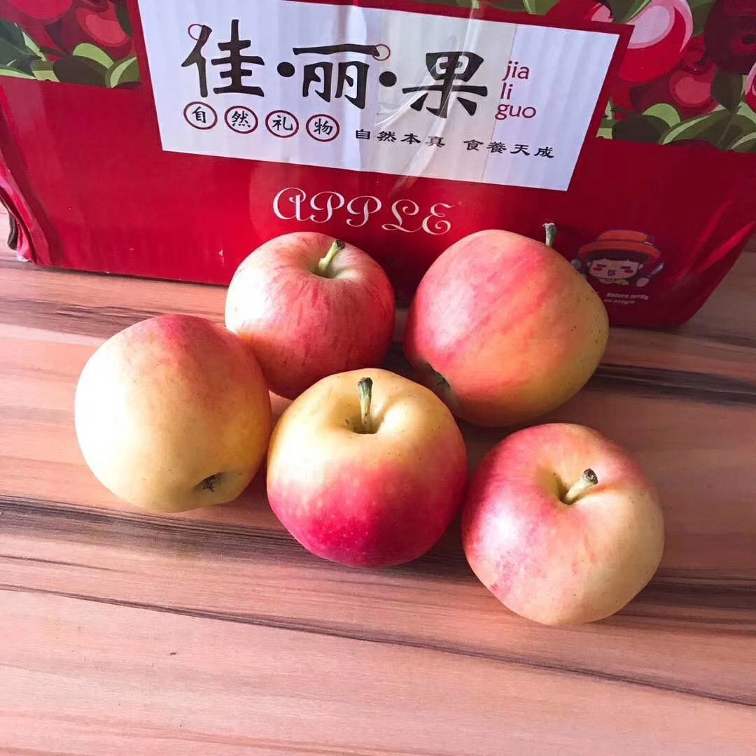 有一种记忆,在苹果树下|苹果树下|太行山|佳丽_新浪新闻