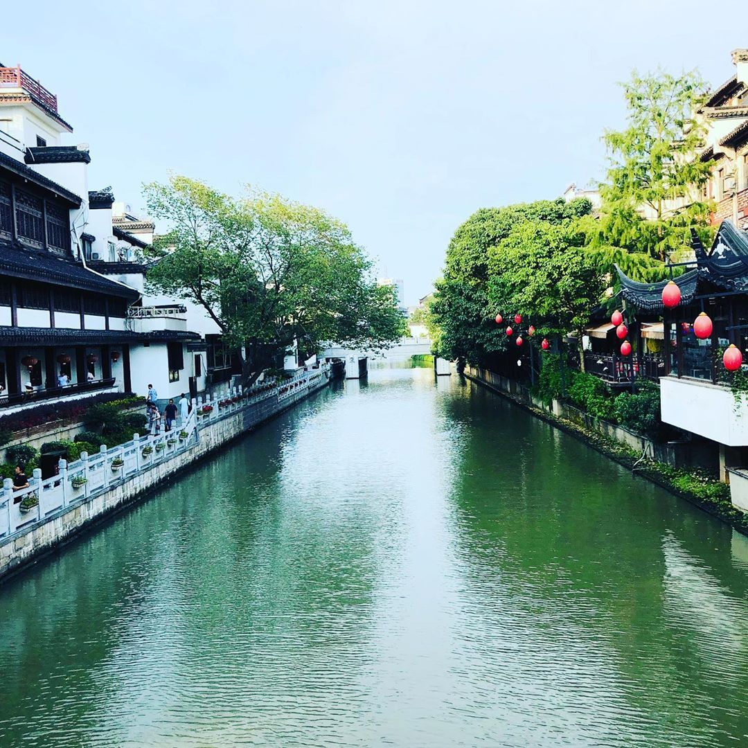 南京乌衣巷朱雀桥边野草花乌衣巷口夕阳斜