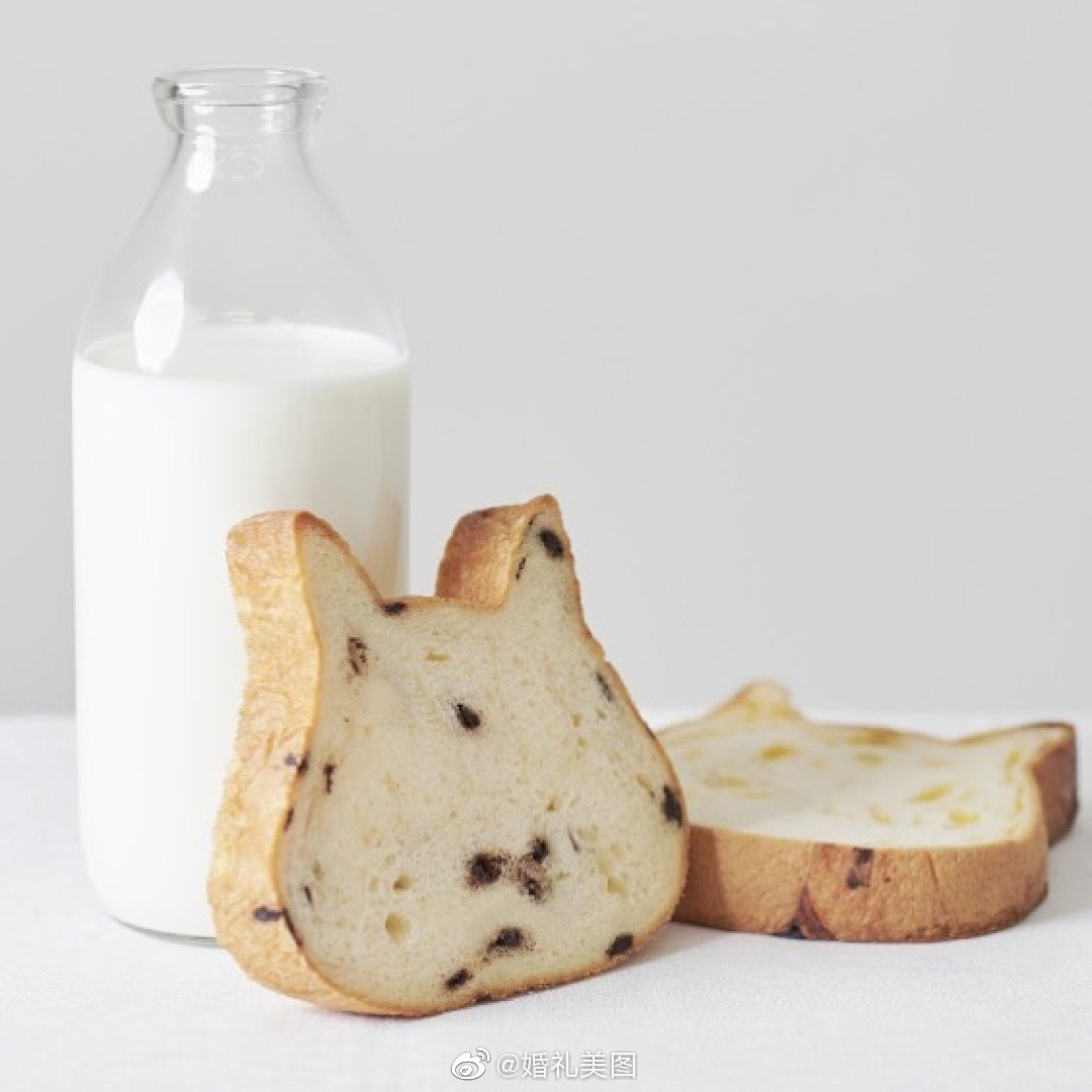 日本推出超萌猫咪吐司,猫奴必吃!