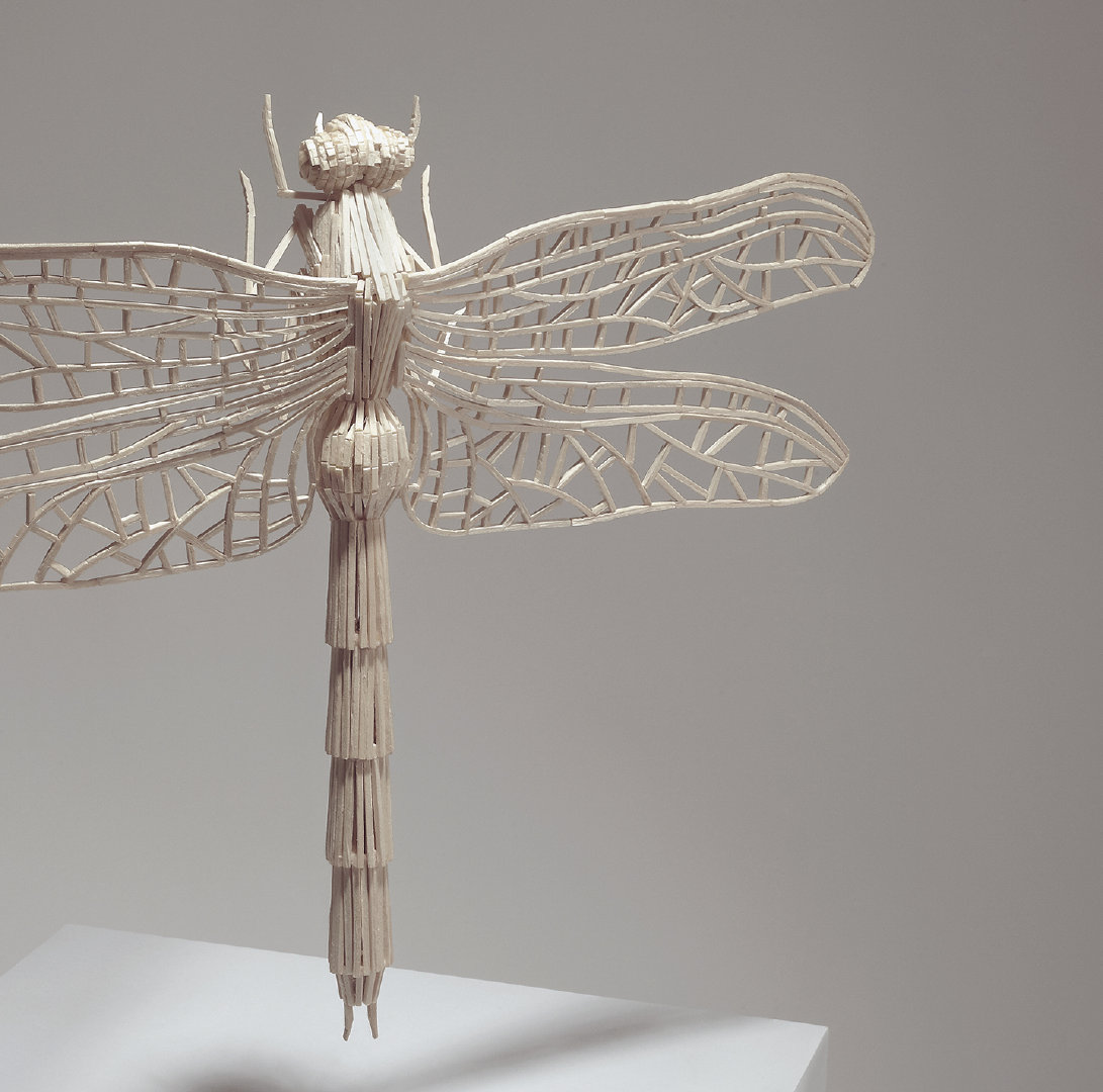 火柴棍做成的昆虫模型. kyle bean