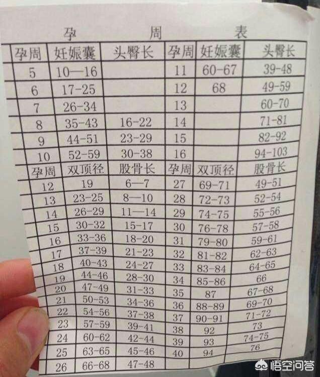 优贝贝!最新孕周胎儿大小对照表"医院助孕"-第1张图片-喜宝网