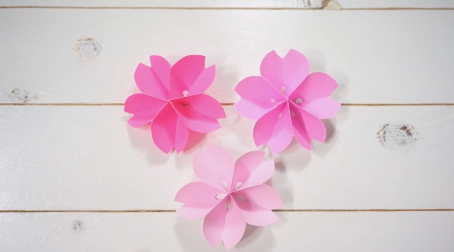 简单又漂亮的纸樱花制作方法,一学就会