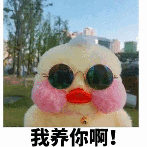 那些支撑我活下去的表情包|豆瓣|农历|加薪|实话|小朋友_新浪新闻