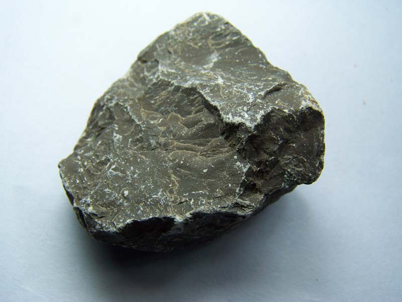 极为罕见的石头,只要灾难发生,便会发出猪叫的声音