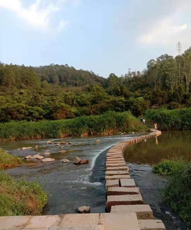 深圳还有这么好玩的地方坪地湿地公园散步捞鱼的好去处