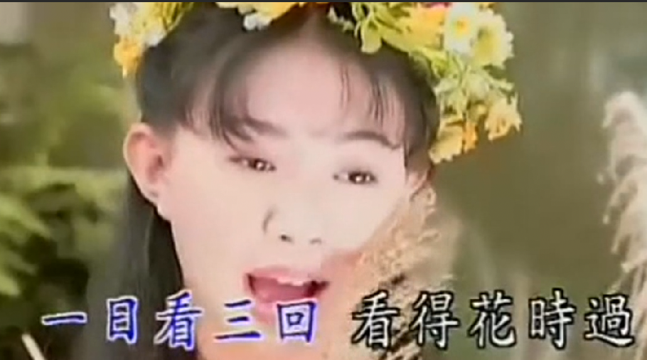 卓依婷《兰花草》,曾经火红的歌