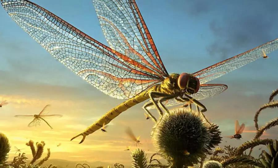 史前巨虫时代多可怕?仅蜈蚣就有5米长,一只昆虫能吃掉一只小狗