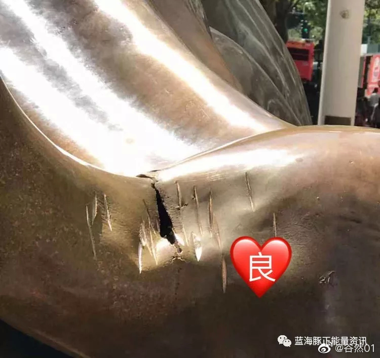 两年前 在纽约华尔街铜牛像体上亲手扶摸并拍照留影很是称幸