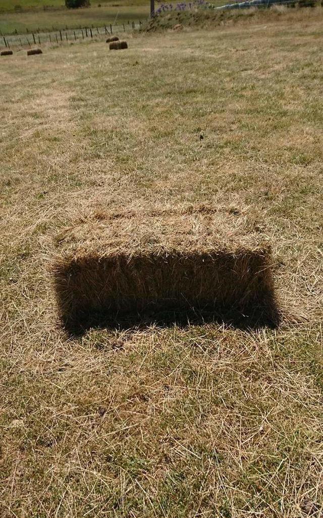 10张因为角度而让人迷惑的图片确实没有ps过哦