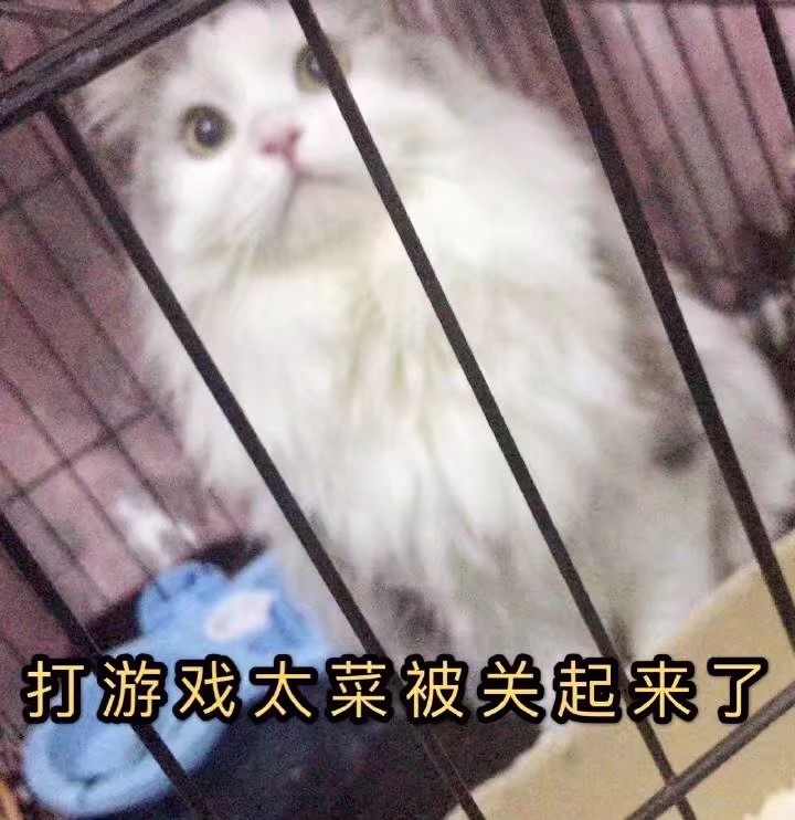 睡着了!打游戏太菜被关起来了! 67表情包564:别的小朋友都是王者了