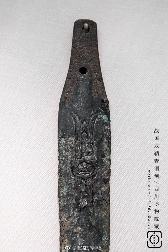 实拍古蜀独特的"双鞘青铜剑"|剑鞘|老猪|青铜剑_新浪新闻