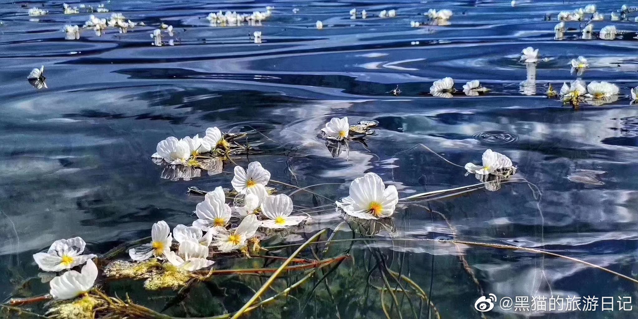 糟糕！泸沽湖的“水性杨花”，让我有了心动的感觉！|格姆女神山|泸沽湖|云南_新浪新闻