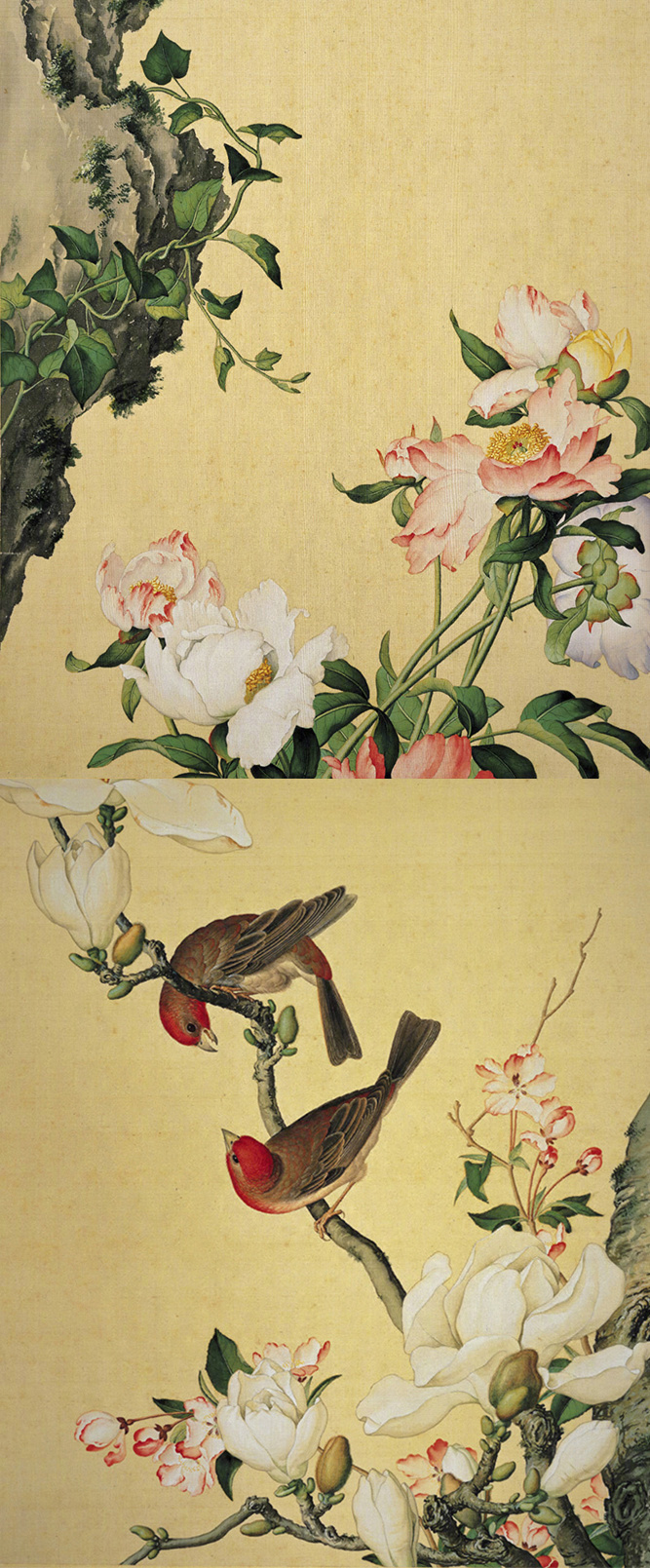 郎世宁中西合璧《仙萼长春图册》台北故宫博物院藏