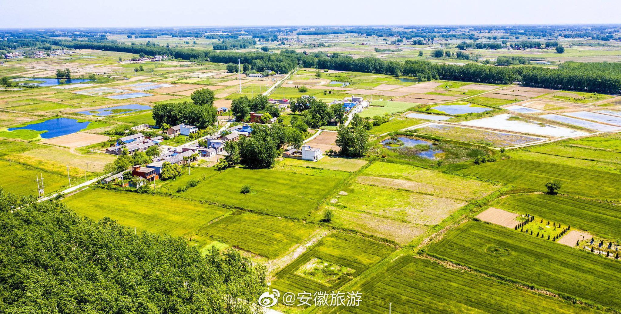 5月3日,航拍肥东县白龙镇后陈村合肥三杰生态农林基地.近年来