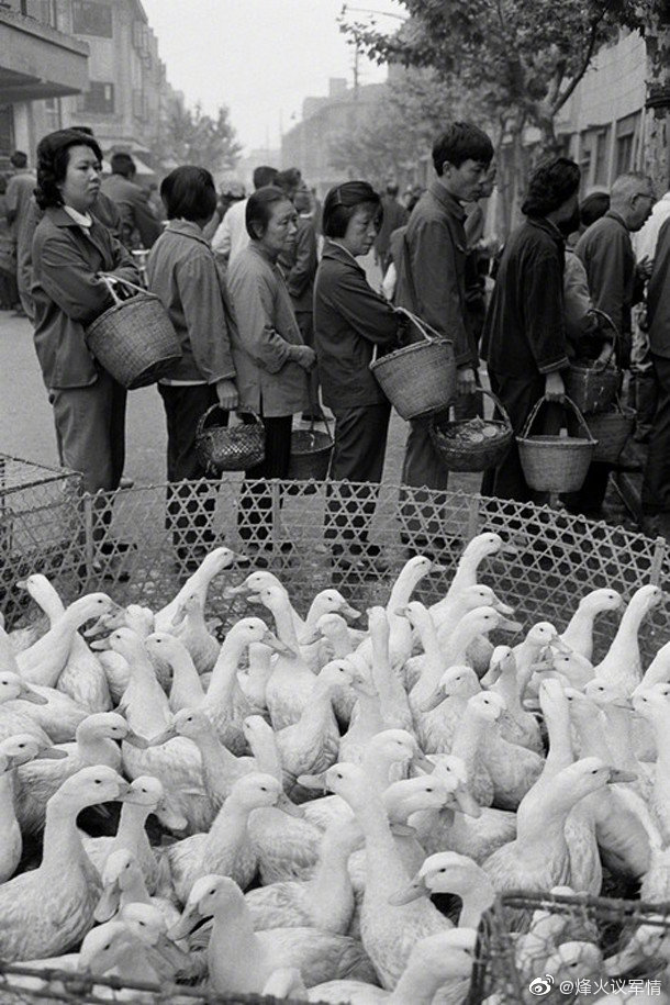 日本记者久保田博二拍摄的1981年上海市井的老照片