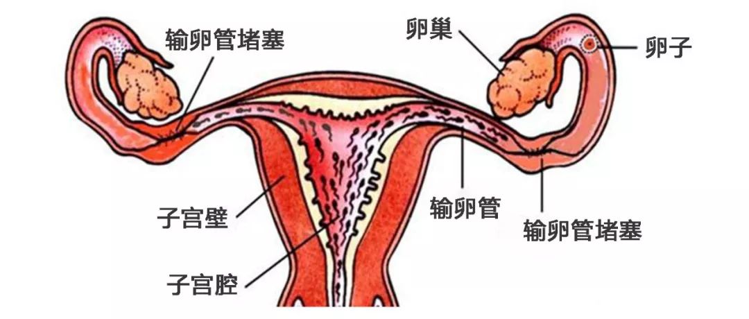 血液病后期症状
