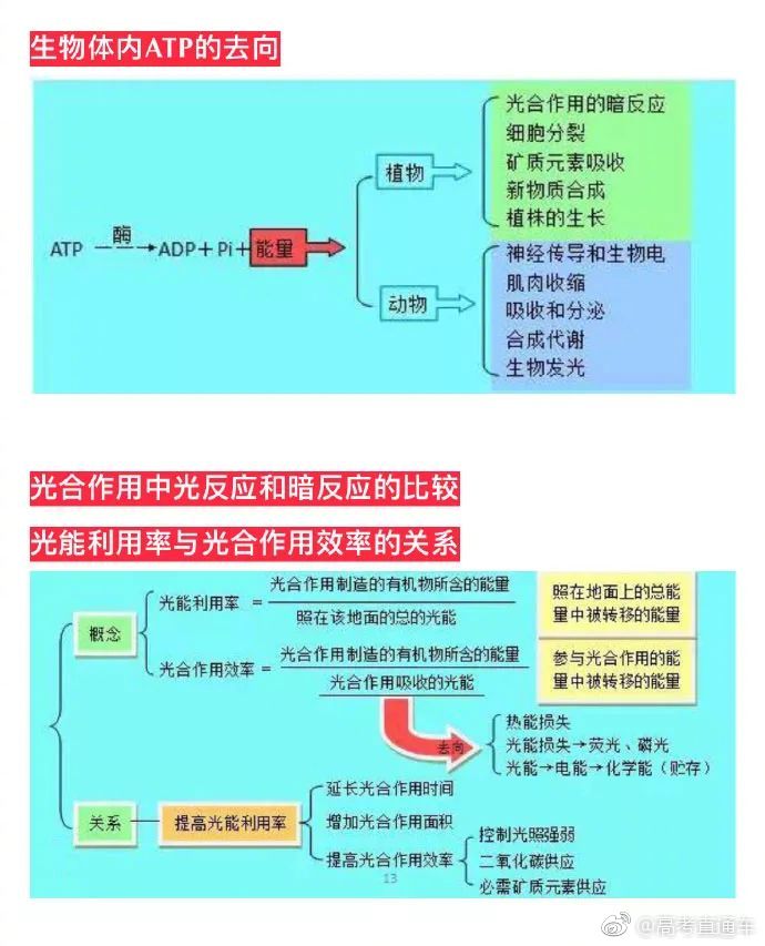 超全生物知识点思维导图 理科必备