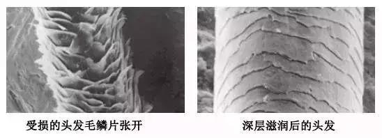 换发型=改变颜值!赶紧get抓头发技巧吧~|头发|发油|技巧_新浪新闻