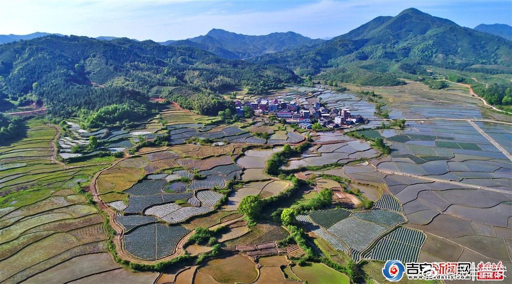 畲乡梯田美|梯田|龙冈畲族乡|永丰县_新浪网