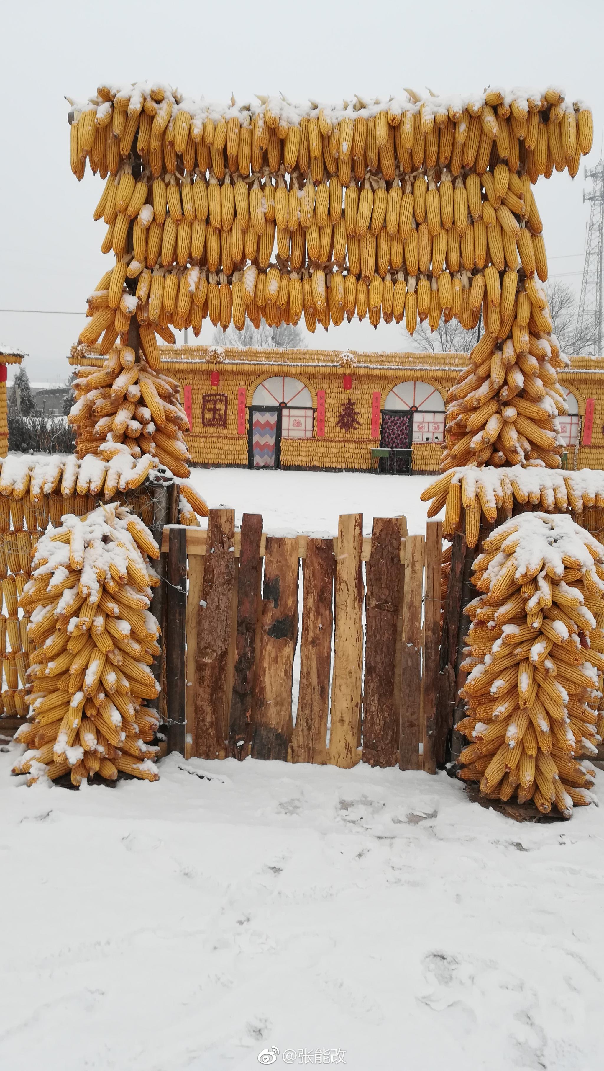 昔阳:玉米堆出黄金屋