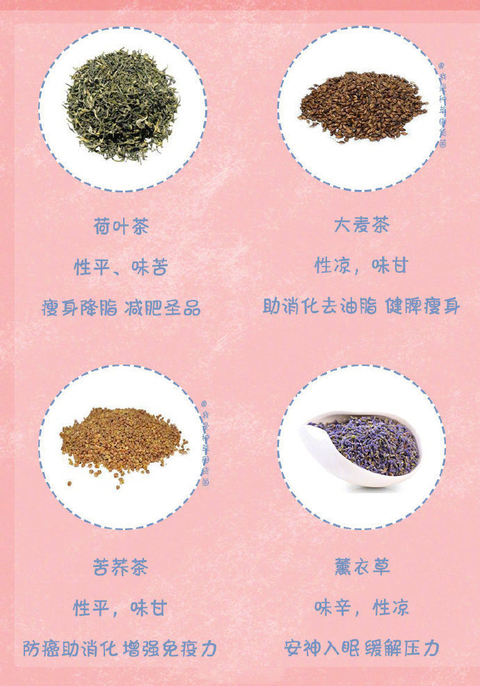 杭州去哪寻茶香?避开网红店解锁人均省50元的隐世茶馆