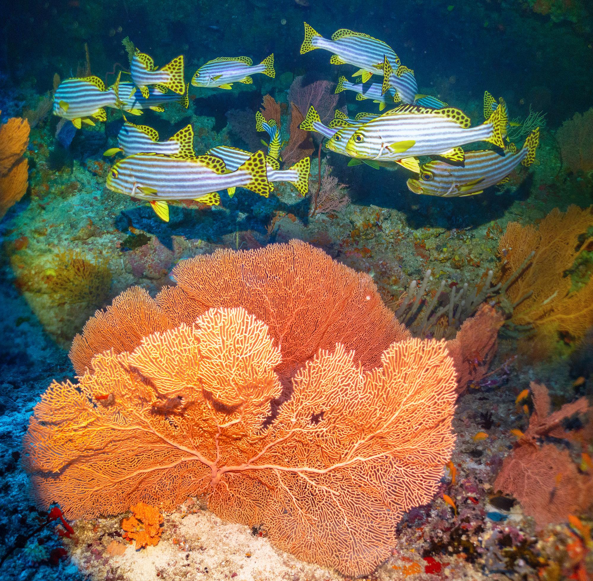 看看我的"水族箱",漂亮不?