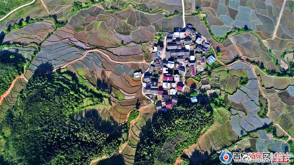 畲乡梯田美|梯田|龙冈畲族乡|永丰县_新浪新闻