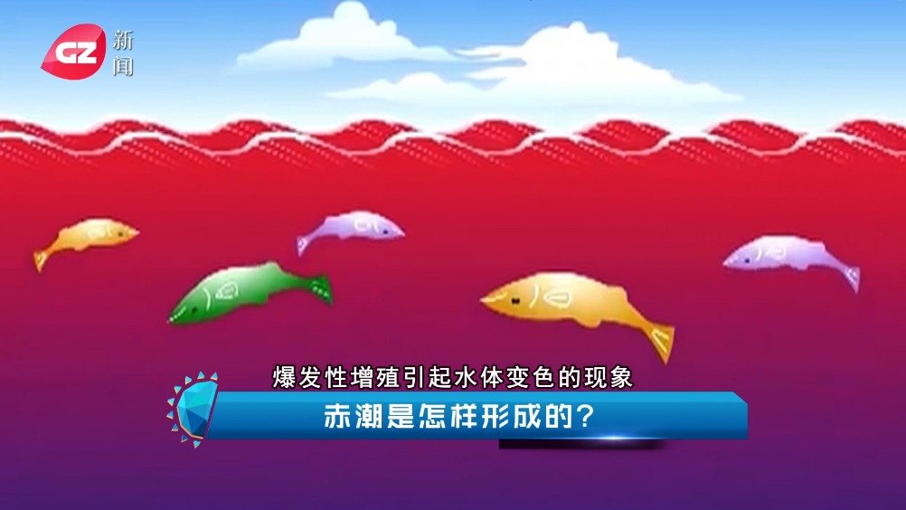 导致大量海洋生物死亡!赤潮究竟是如何形成的