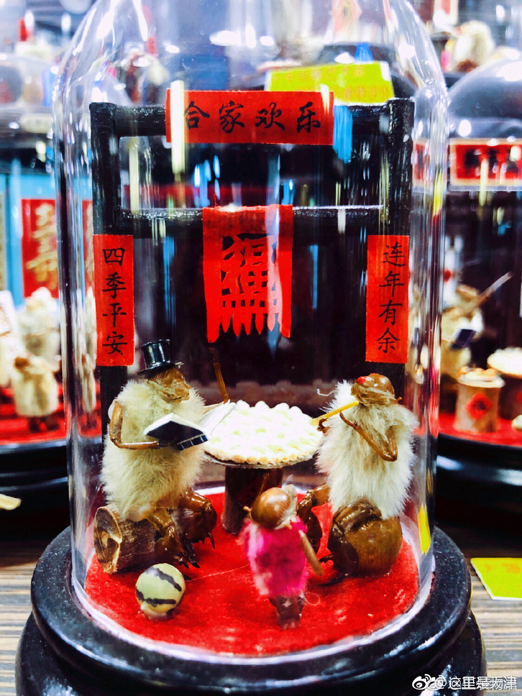 来天津的小伙伴,记得带一份天津特色礼品———毛猴回家呀