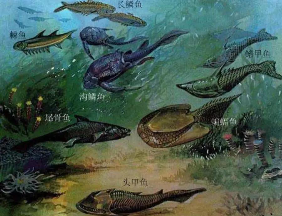 史前巨虫时代多可怕?仅蜈蚣就有5米长,一只昆虫能吃掉一只小狗