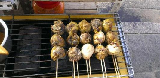 街头小吃烤毛蛋漏出真相