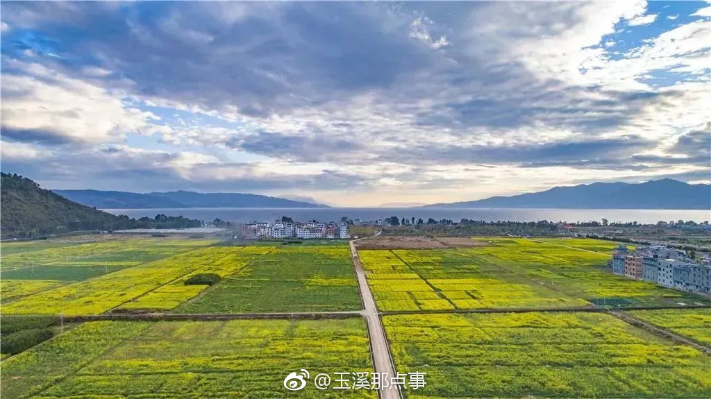 走进澄江马房村 感受别样田园风光|旅游|抚仙湖|玉溪|产业|油菜花_新浪新闻