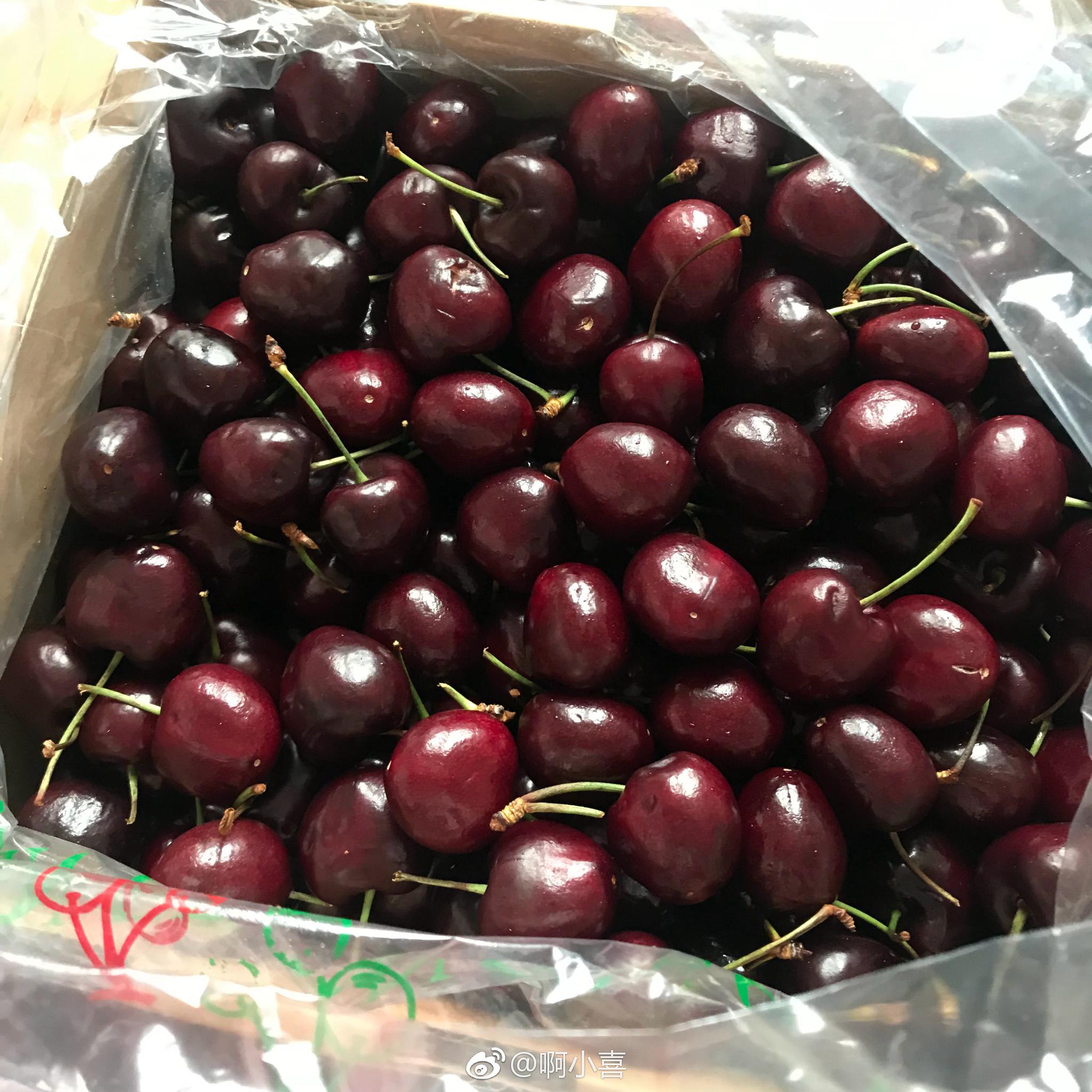 士多啤梨|士多啤梨_新浪新闻