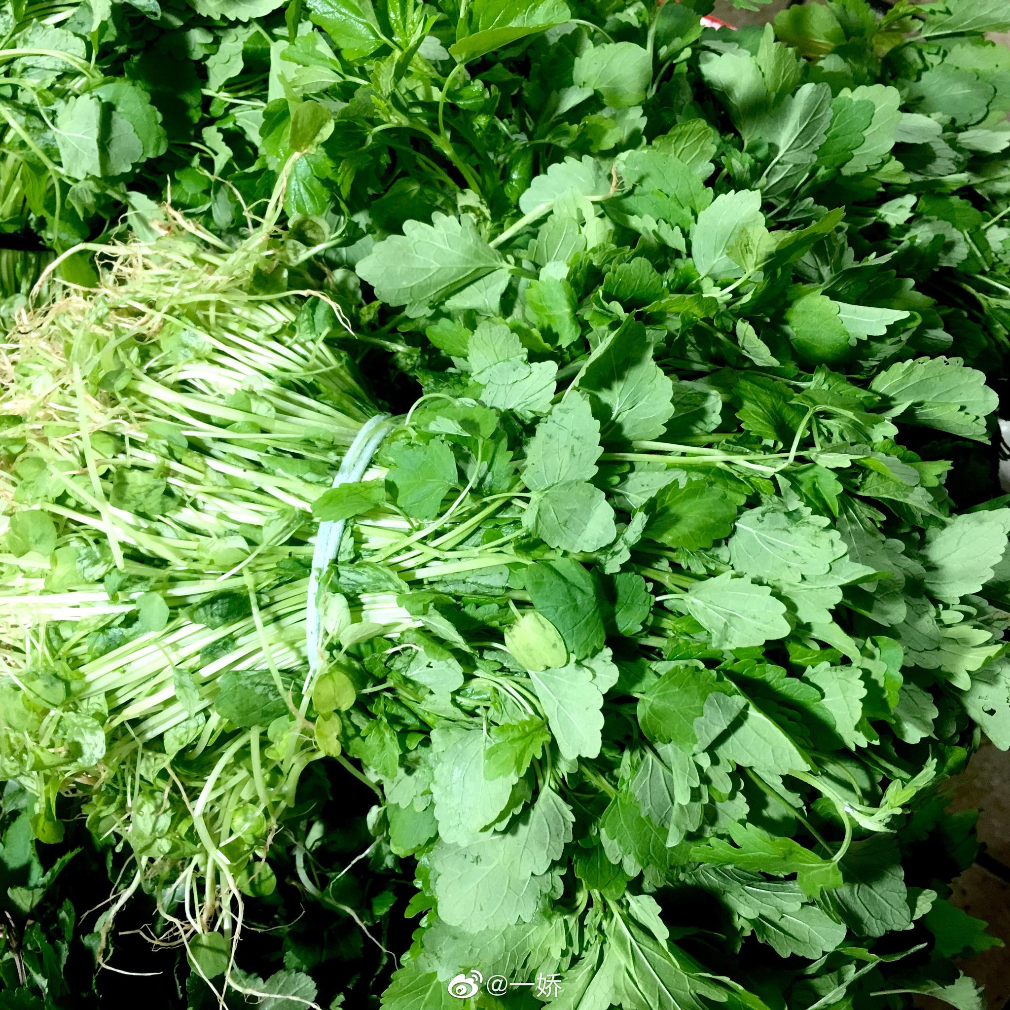 午休逛菜市场,青草铺满满当当的广东凉茶,野菜也齐活|齐活|竹叶菜