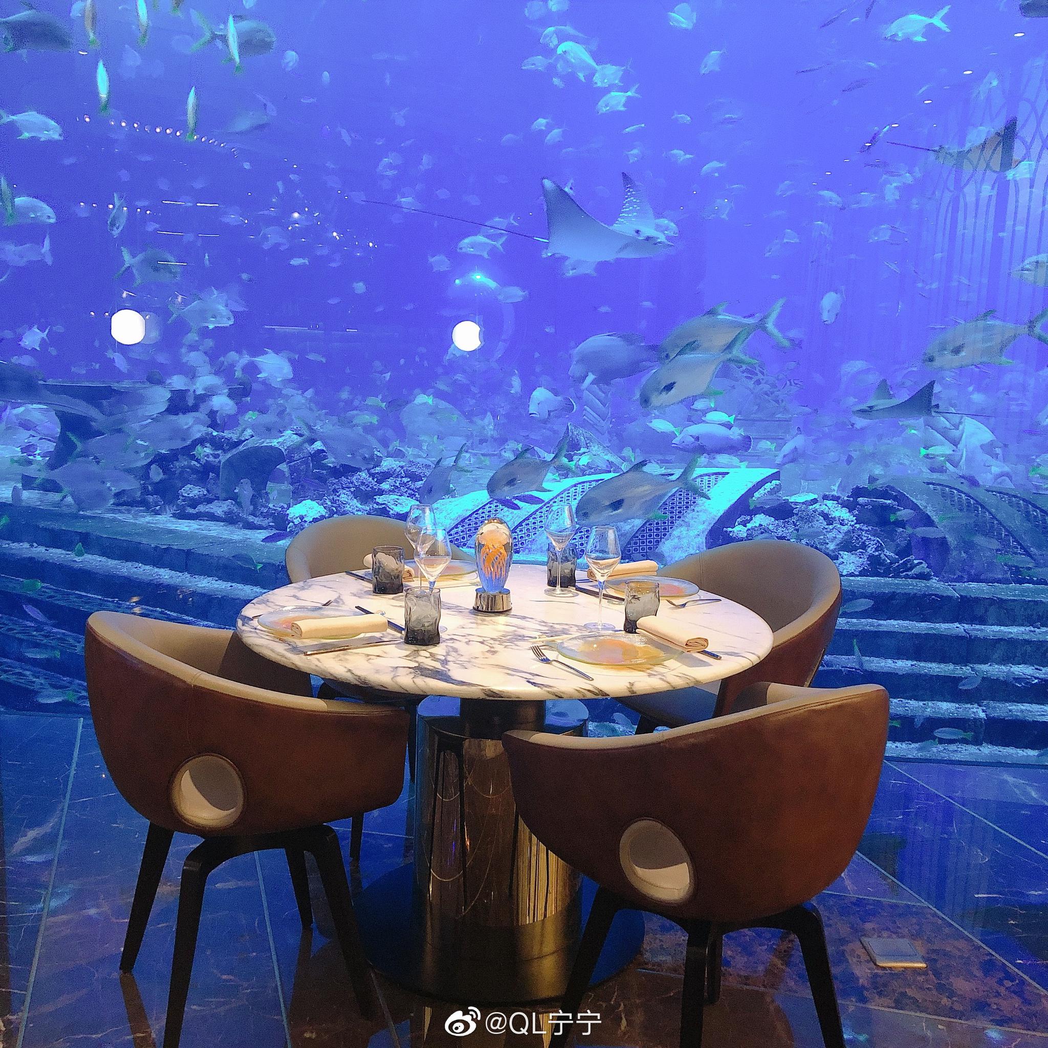 从失落的水族馆,到奥西亚诺海底餐厅,亚特兰蒂斯承包了我的海洋梦