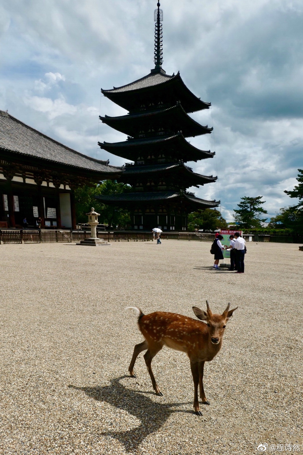 日本奈良兴福寺