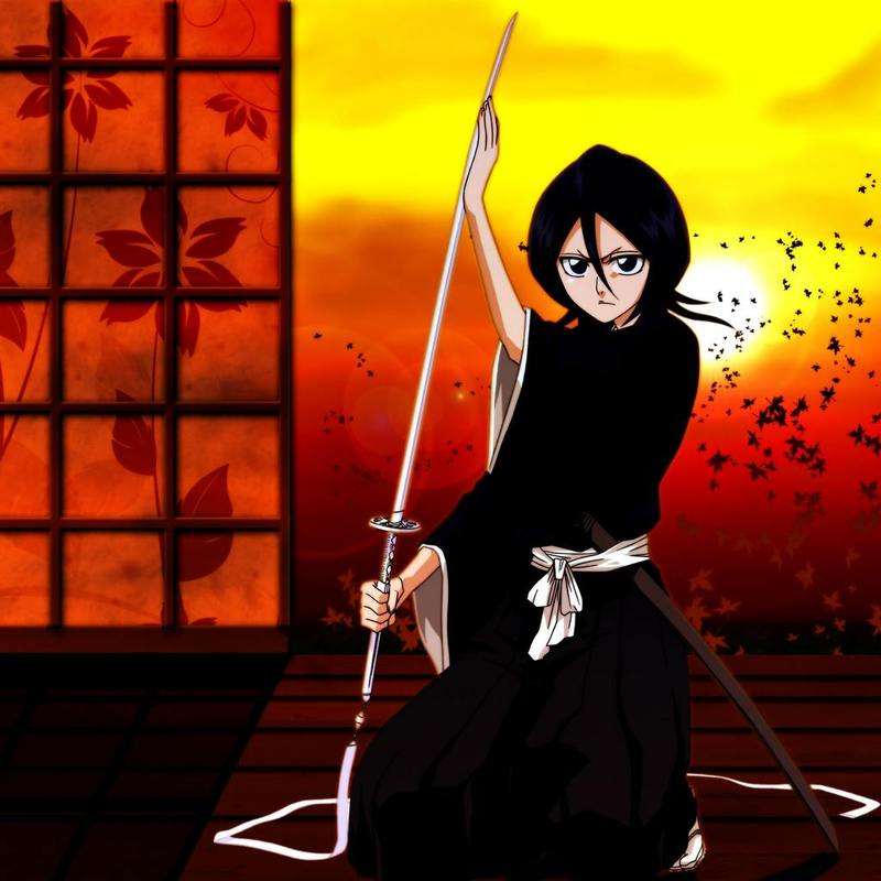 死神:涅进行魂魄的实体实验,而这个实体便是被绯真抛弃的露琪亚