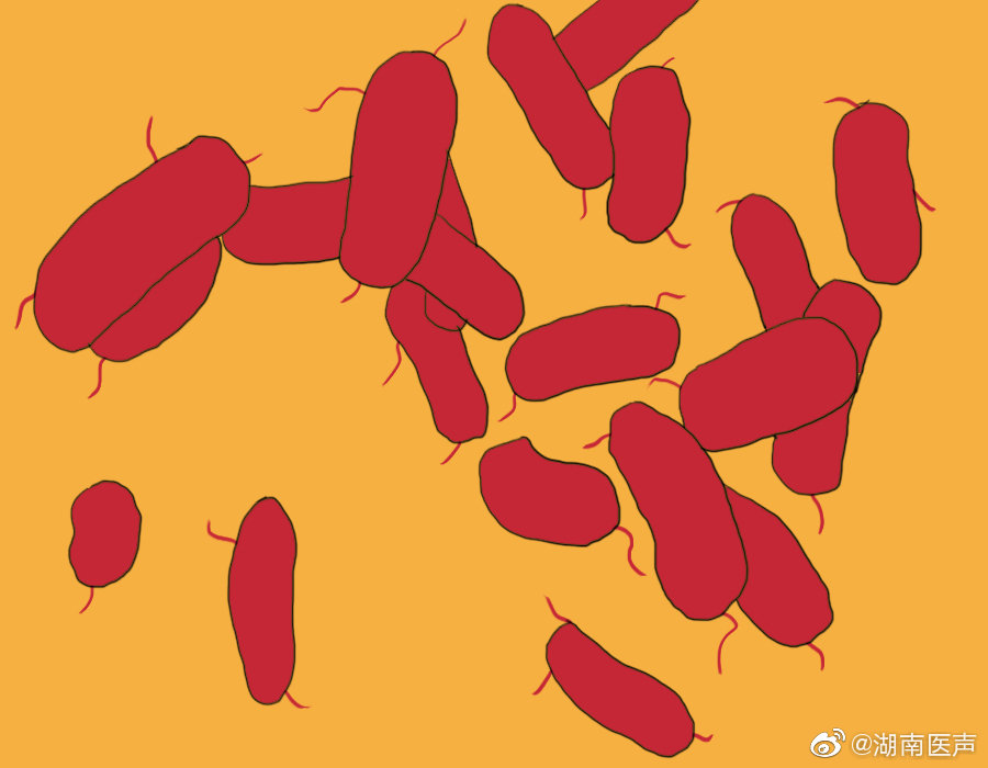 预防大肠杆菌发病三步曲清洁清洁清洁