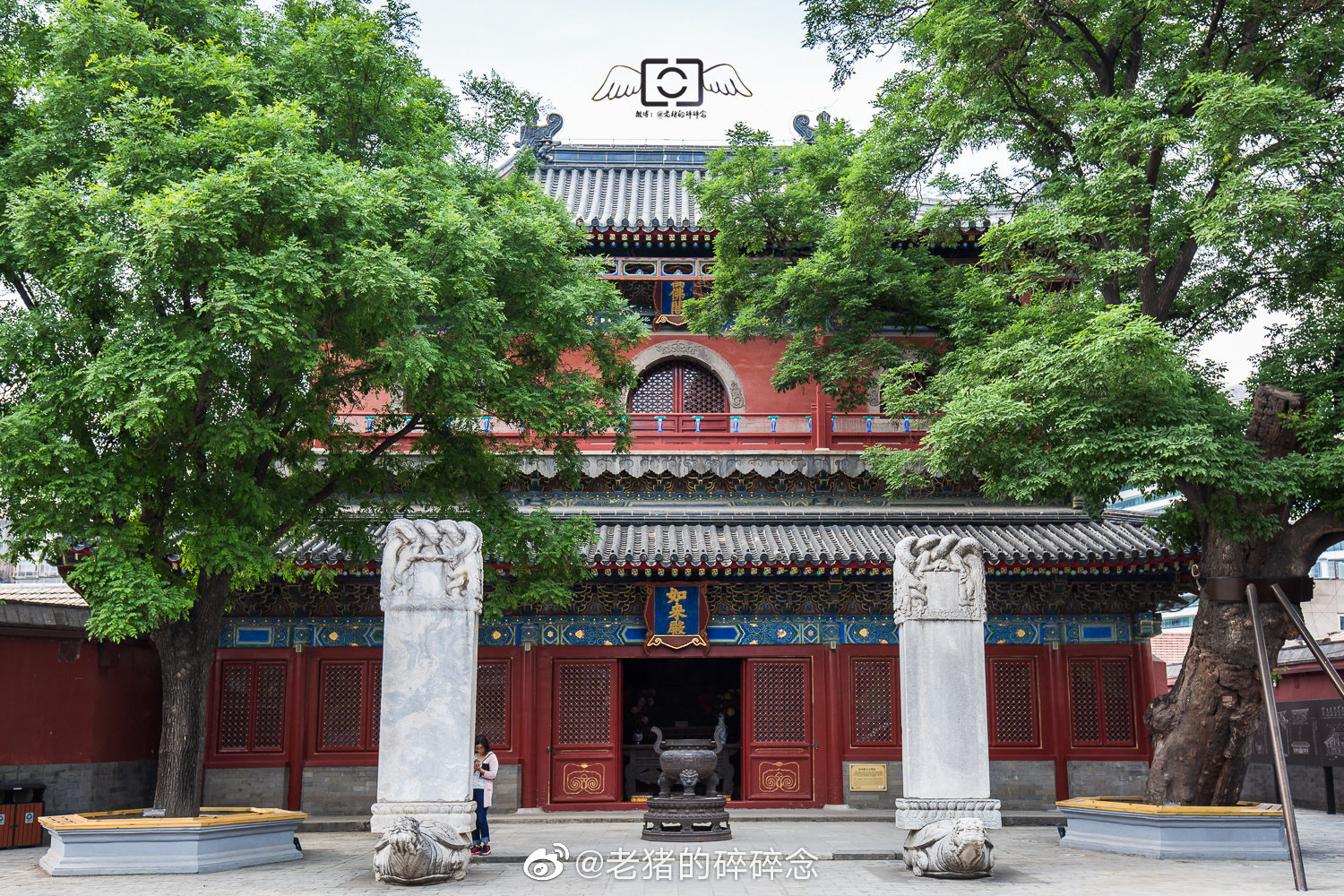 实拍北京智化寺万佛阁及明代塑像_高清图集_新浪网