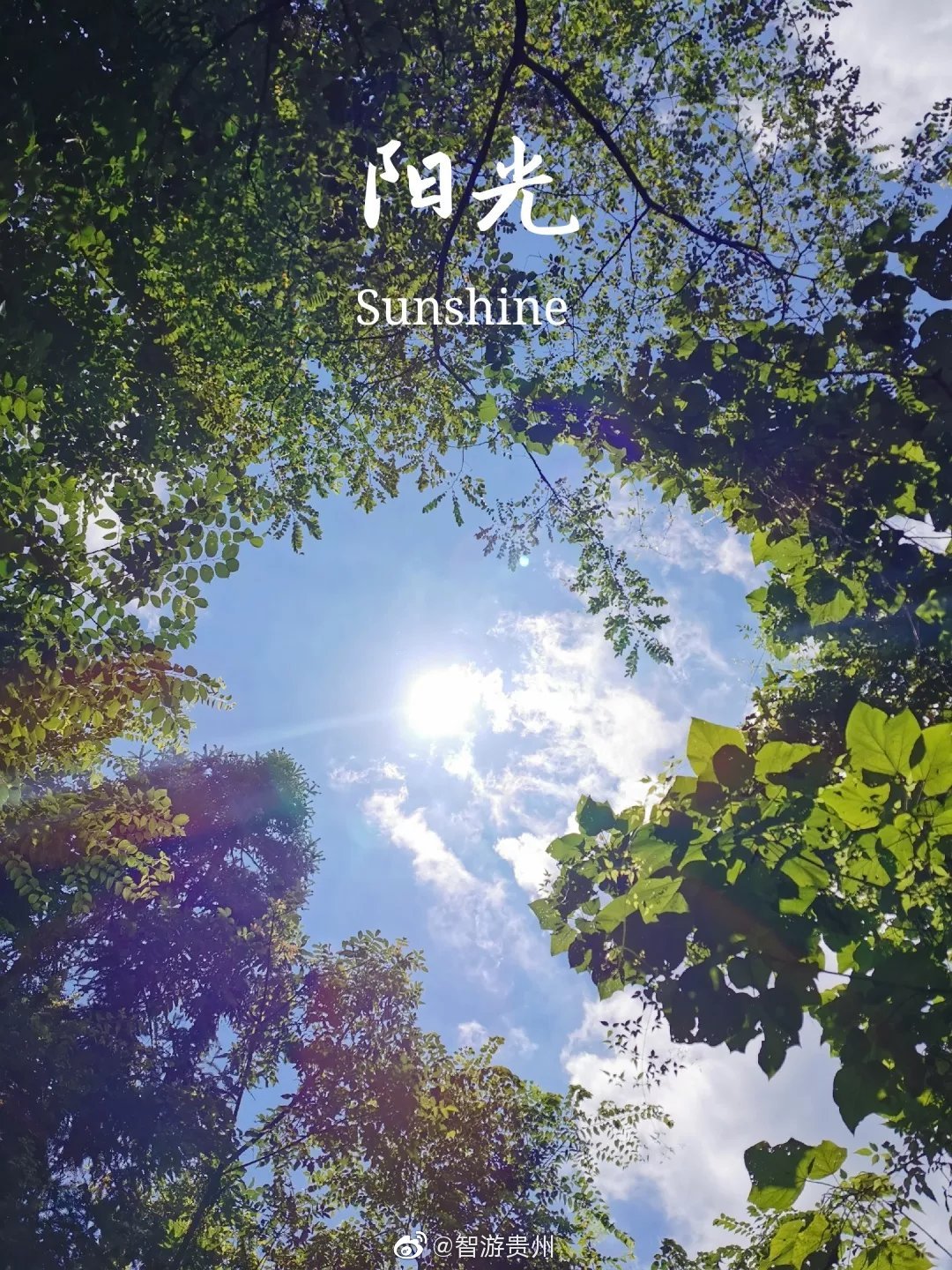 盛夏是一个能够勾起人们无限回忆的季节,啤酒,西瓜,蛙声,蝉鸣|蛙声|贵阳|烈阳|西瓜|倾泻而下_新浪新闻